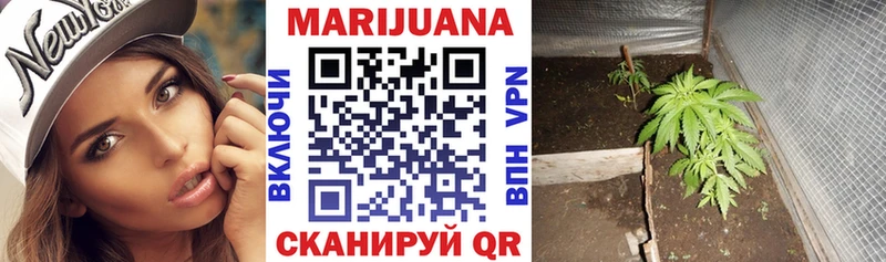 Каннабис сатива  Купить где  Камызяк 